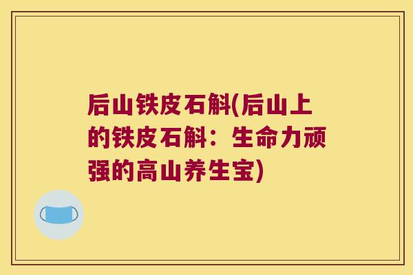 后山铁皮石斛(后山上的铁皮石斛：生命力顽强的高山养生宝)