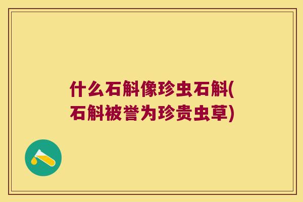 什么石斛像珍虫石斛(石斛被誉为珍贵虫草)
