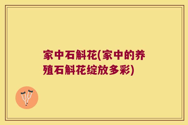家中石斛花(家中的养殖石斛花绽放多彩)