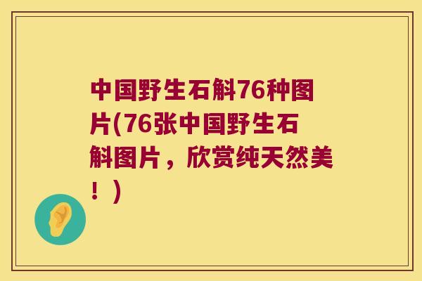 中国野生石斛76种图片(76张中国野生石斛图片，欣赏纯天然美！)