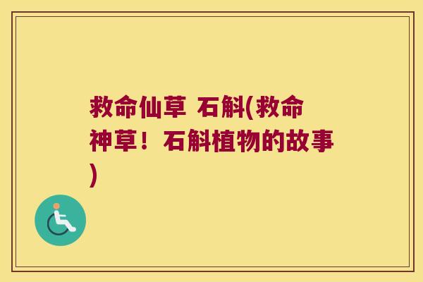救命仙草 石斛(救命神草!石斛植物的故事) 救命仙草 石斛(救命神草!石斛植物的故事)