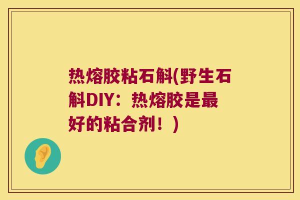热熔胶粘石斛(野生石斛DIY：热熔胶是最好的粘合剂！)