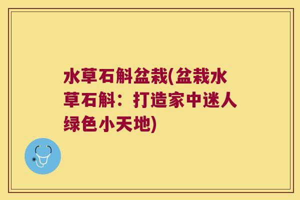 水草石斛盆栽(盆栽水草石斛:打造家中迷人绿色小天地) 水草石斛盆栽(盆栽水草石斛:打造家中迷人绿色小天地)