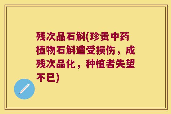 残次品石斛(珍贵中药植物石斛遭受损伤，成残次品化，种植者失望不已)