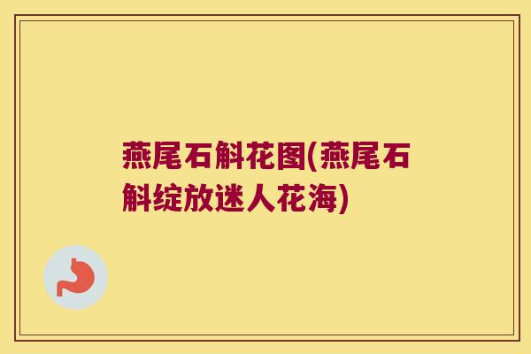 燕尾石斛花图(燕尾石斛绽放迷人花海)