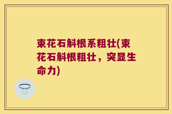 束花石斛根系粗壮(束花石斛根粗壮，突显生命力)