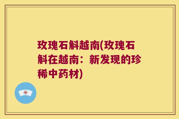 玫瑰石斛越南(玫瑰石斛在越南:新发现的珍稀材) 玫瑰石斛越南(玫瑰石斛在越南:新发现的珍稀材)