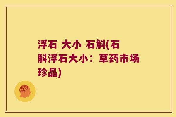 浮石 大小 石斛(石斛浮石大小：草药市场珍品)
