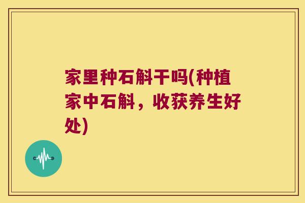 家里种石斛干吗(种植家中石斛，收获养生好处)