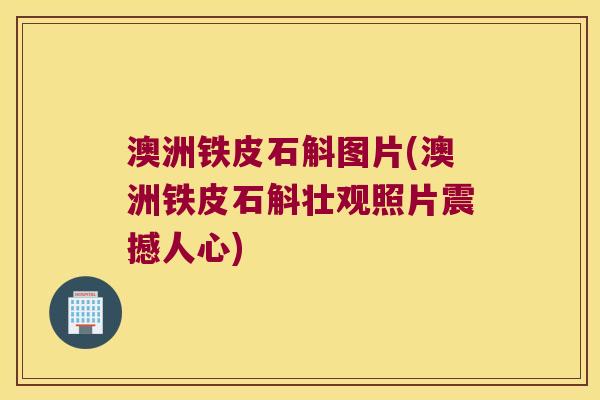 澳洲铁皮石斛图片(澳洲铁皮石斛壮观照片震撼人心)