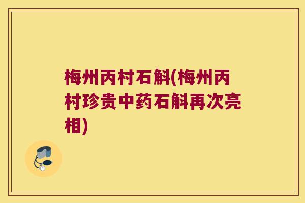 梅州丙村石斛(梅州丙村珍贵中药石斛再次亮相)