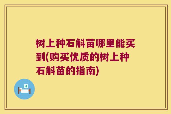 树上种石斛苗哪里能买到(购买优质的树上种石斛苗的指南)