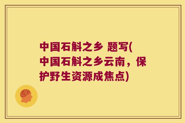 中国石斛之乡 题写(中国石斛之乡云南，保护野生资源成焦点)