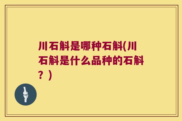 川石斛是哪种石斛(川石斛是什么品种的石斛？)
