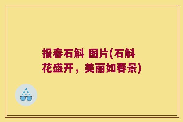 报春石斛 图片(石斛花盛开,美丽如春景) 报春石斛 图片(石斛花盛开,美丽如春景)