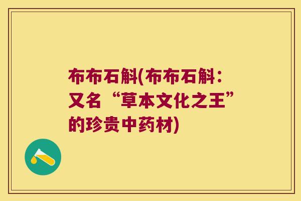 布布石斛(布布石斛：又名“草本文化之王”的珍贵中药材)