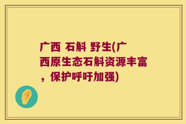 广西 石斛 野生(广西原生态石斛资源丰富，保护呼吁加强)