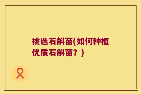挑选石斛苗(如何种植优质石斛苗？)