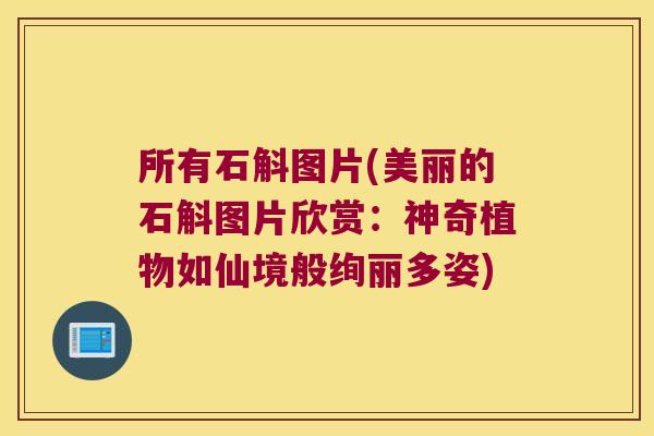 所有石斛图片(美丽的石斛图片欣赏：神奇植物如仙境般绚丽多姿)