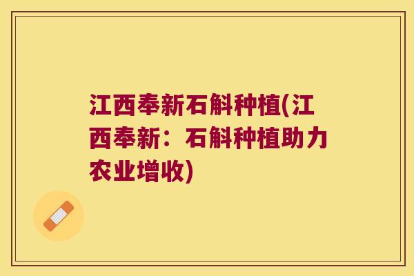江西奉新石斛种植(江西奉新：石斛种植助力农业增收)