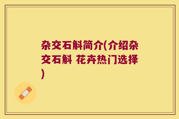 杂交石斛简介(介绍杂交石斛 花卉热门选择)