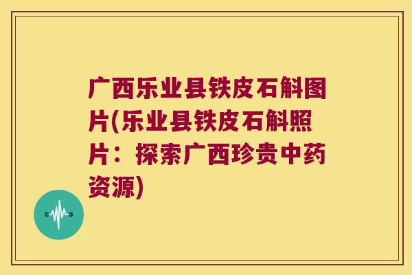 广西乐业县铁皮石斛图片(乐业县铁皮石斛照片：探索广西珍贵资源)