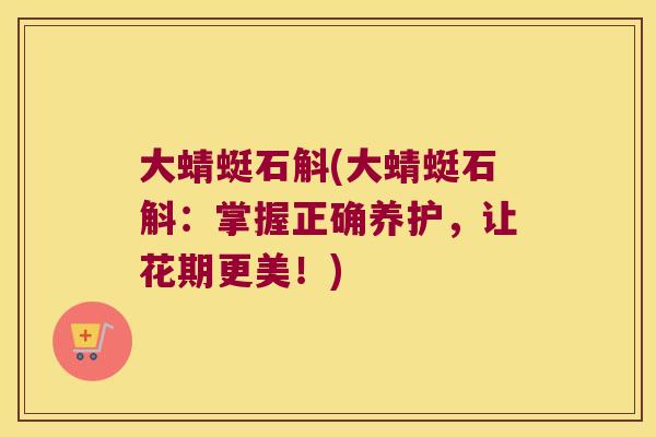 大蜻蜓石斛(大蜻蜓石斛：掌握正确养护，让花期更美！)