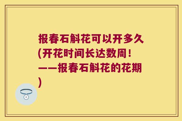 报春石斛花可以开多久(开花时间长达数周！——报春石斛花的花期)