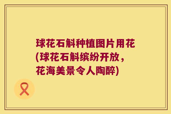 球花石斛种植图片用花(球花石斛缤纷开放，花海美景令人陶醉)