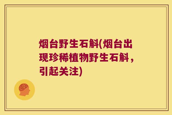 烟台野生石斛(烟台出现珍稀植物野生石斛，引起关注)