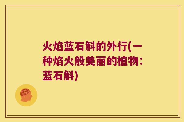 火焰蓝石斛的外行(一种焰火般美丽的植物:蓝石斛) 火焰蓝石斛的外行(一种焰火般美丽的植物:蓝石斛)