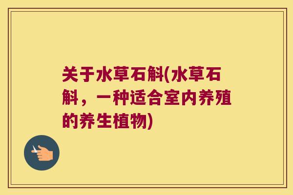 关于水草石斛(水草石斛，一种适合室内养殖的养生植物)