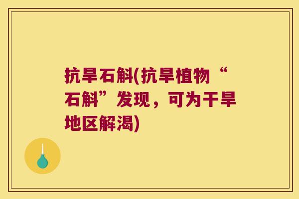 抗旱石斛(抗旱植物“石斛”发现，可为干旱地区解渴)