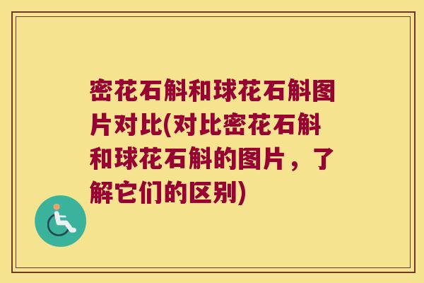密花石斛和球花石斛图片对比(对比密花石斛和球花石斛的图片，了解它们的区别)