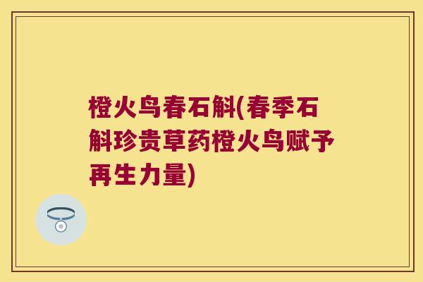橙火鸟春石斛(春季石斛珍贵草药橙火鸟赋予再生力量)
