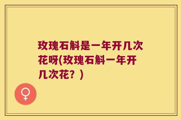 玫瑰石斛是一年开几次花呀(玫瑰石斛一年开几次花？)