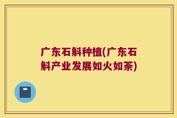 广东石斛种植(广东石斛产业发展如火如荼)