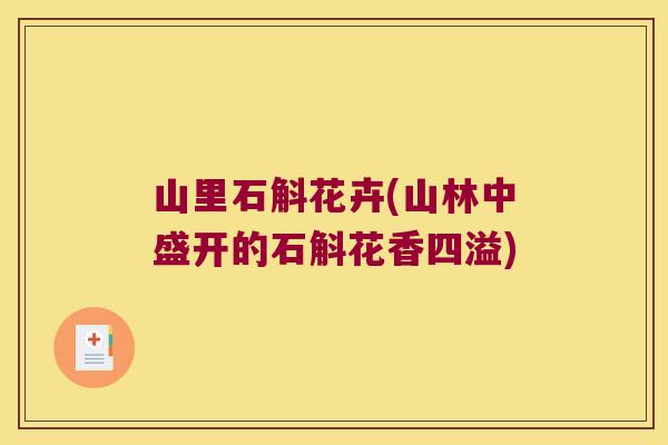 山里石斛花卉(山林中盛开的石斛花香四溢)