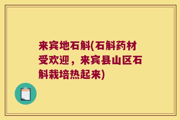 来宾地石斛(石斛药材受欢迎，来宾县山区石斛栽培热起来)
