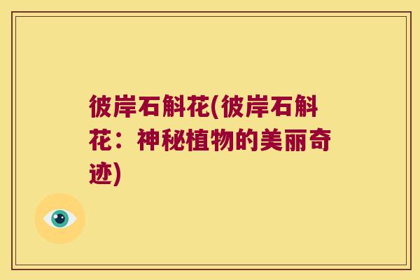 彼岸石斛花(彼岸石斛花：神秘植物的美丽奇迹)