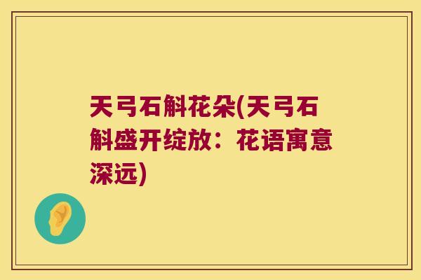 天弓石斛花朵(天弓石斛盛开绽放：花语寓意深远)
