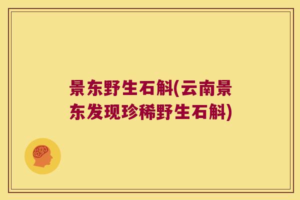 景东野生石斛(云南景东发现珍稀野生石斛)