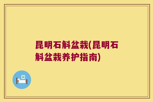 昆明石斛盆栽(昆明石斛盆栽养护指南)