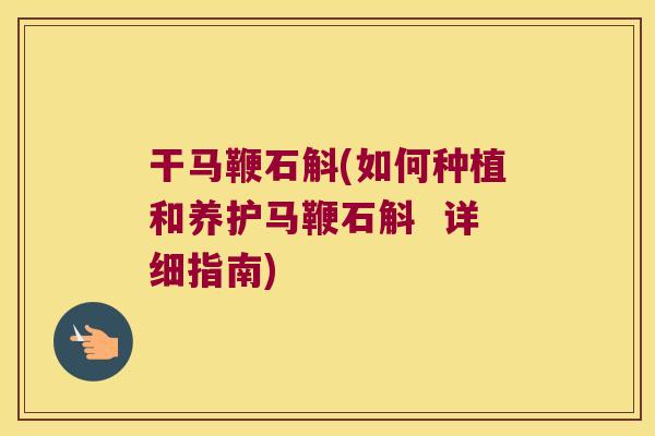 干马鞭石斛(如何种植和养护马鞭石斛  详细指南)