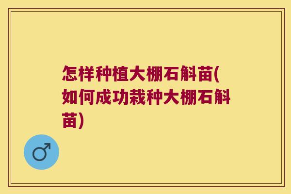 怎样种植大棚石斛苗(如何成功栽种大棚石斛苗)