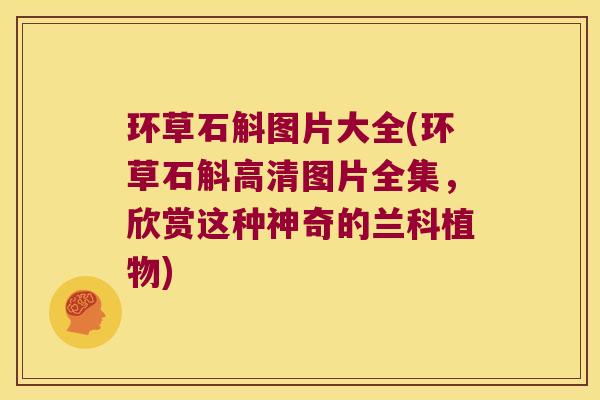 环草石斛图片大全(环草石斛高清图片全集，欣赏这种神奇的兰科植物)
