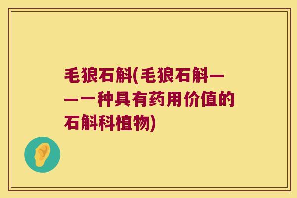 毛狼石斛(毛狼石斛——一种具有药用价值的石斛科植物)