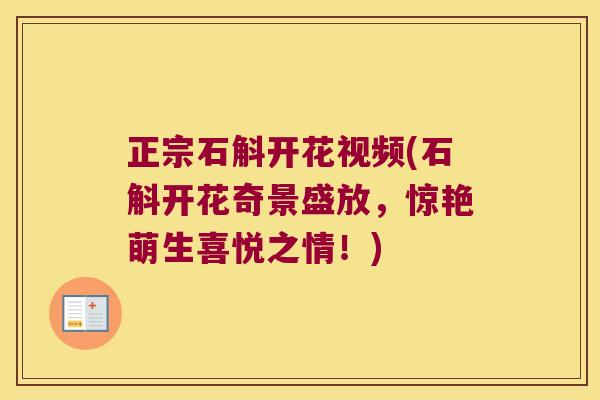 正宗石斛开花视频(石斛开花奇景盛放，惊艳萌生喜悦之情！)