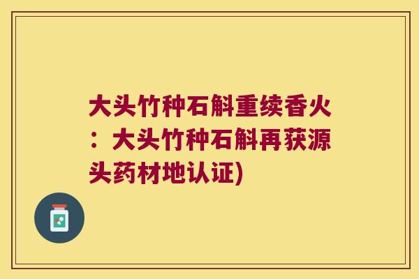 大头竹种石斛重续香火：大头竹种石斛再获源头药材地认证)
