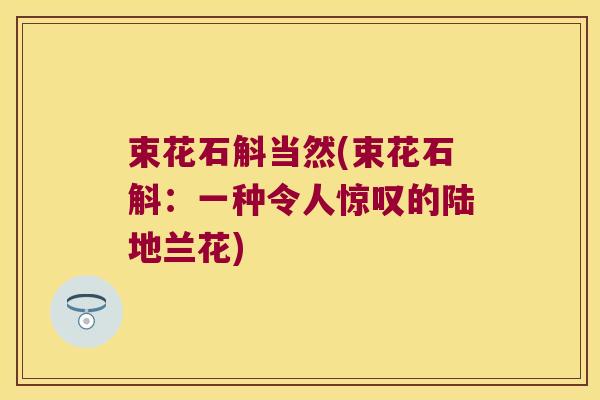 束花石斛当然(束花石斛：一种令人惊叹的陆地兰花)